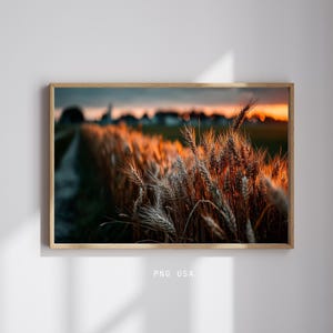 May include: A field of wheat stalks illuminated by the setting sun. The wheat is a golden brown color and the background is a blurry sunset.