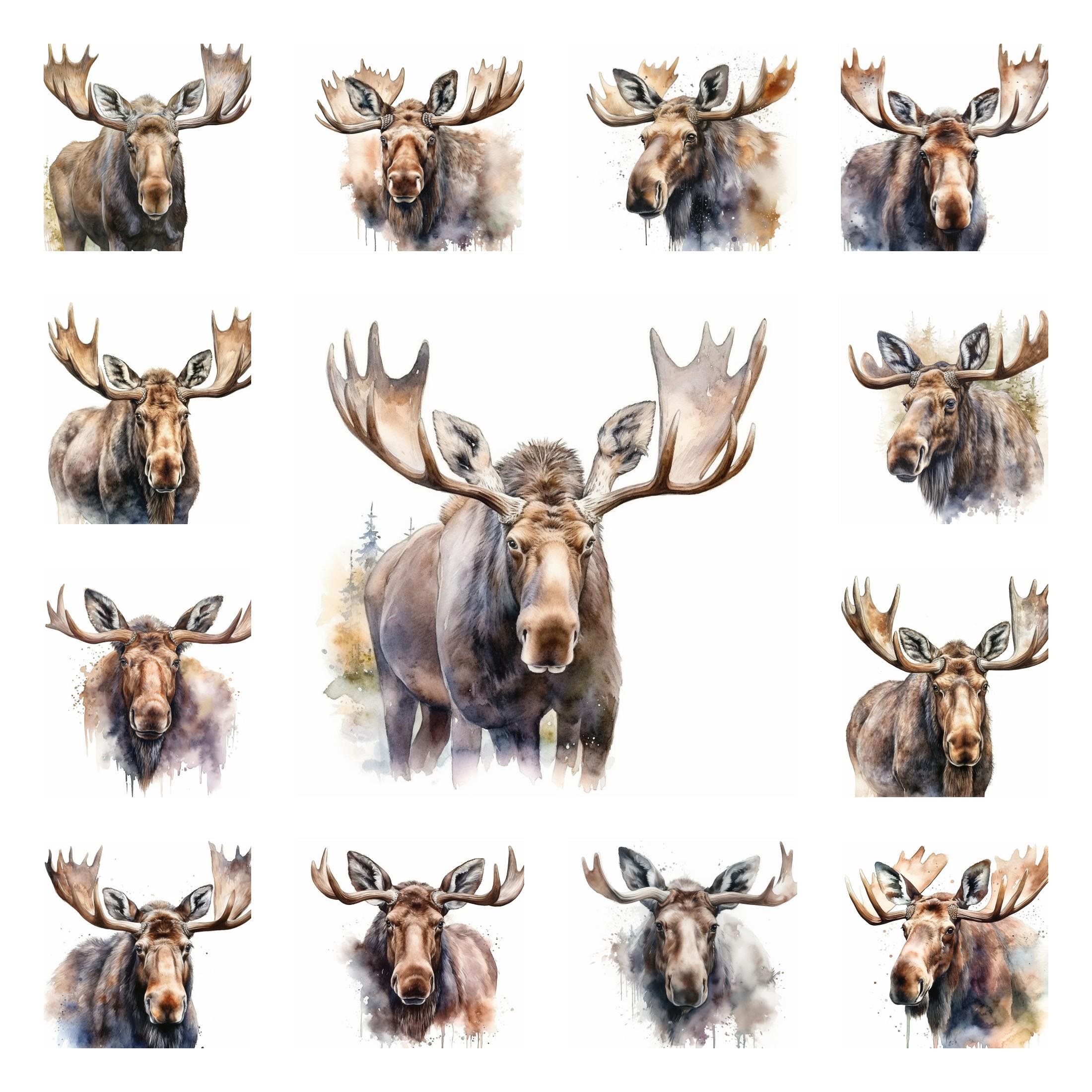 Alce - Etsy, image size:2200x2200