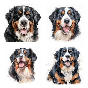 15 Berner Sennenhund PNG Clipart Bundle, Aquarell Bernie Haustier Porträt JPEG Sofort-Download, Schweizer Hund Illustration, kommerzielle Nutzung