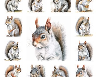 17 Gray Squirrel (Sciurus carolinensis) PNG Clipart Bundle, Watercolor Wall Art Poster Download, Animal Portrait Illustration Commercial Use