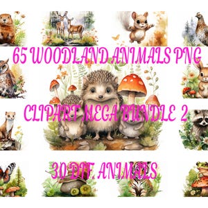 Lot de 65 animaux de la forêt 2 PNG Clipart, aquarelle animaux de la forêt, affiche d'art mural, Illustration de portrait animal, usage Commercial