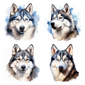20 Siberian Husky Dog Breed PNG Clipart Bundle, Watercolor Pet Portrait JPEG Instant Download, Paper Craft Illustration, Commercial Use