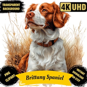 Brittany Spaniel razza di cane PNG stampabile Clipart, acquerello cane sublimazione Brittany Spaniel ritratto di animale domestico illustrazione immagine uso commerciale