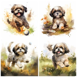 44 Shih Tzu Dog Breed PNG Clipart Bundle, Watercolor Shih Tzu Puppy Pet ...