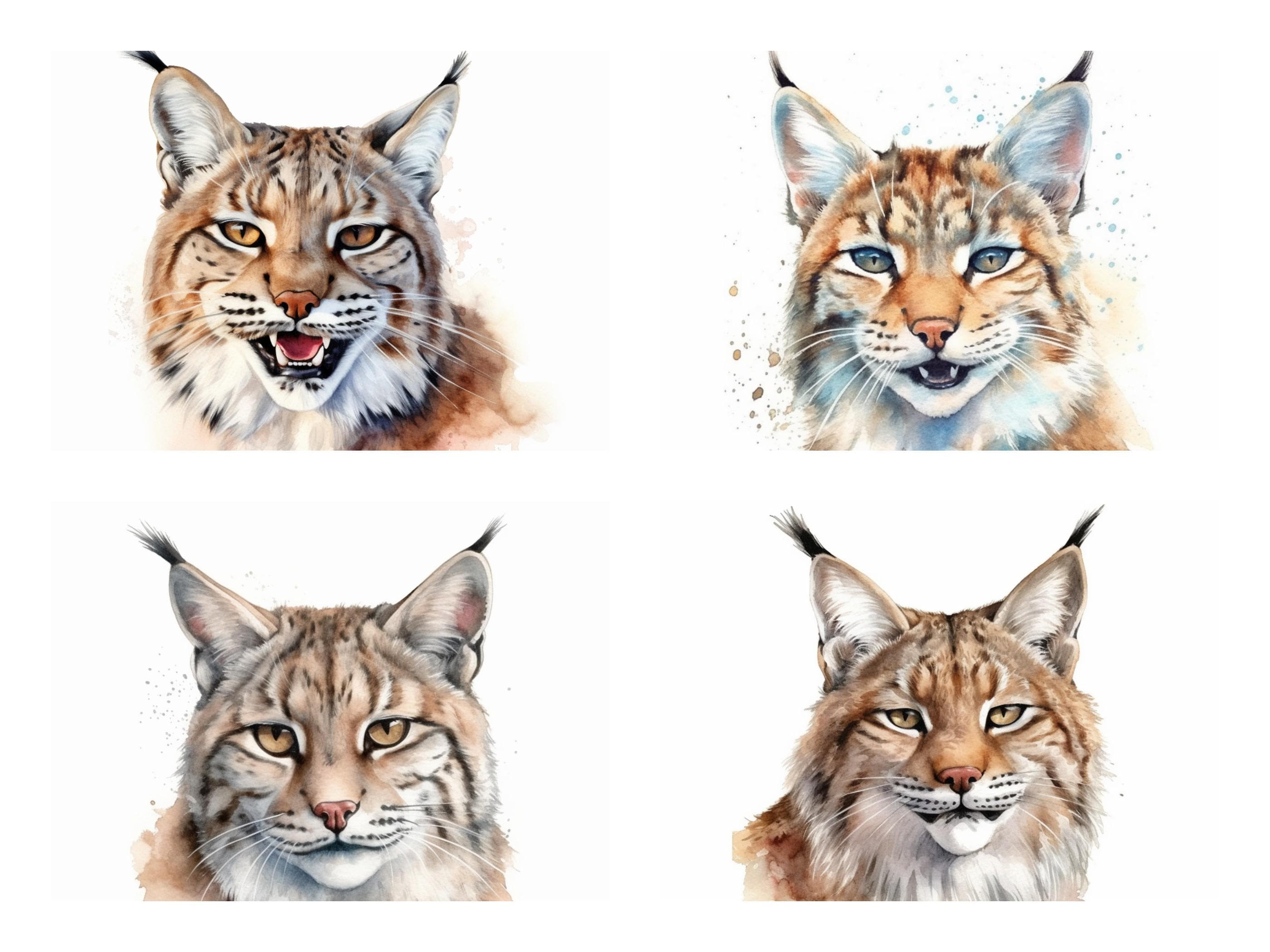19 Bobcat (lynx Rufus) PNG Clipart Bundle, Watercolor Wild Bobcat Wall ...