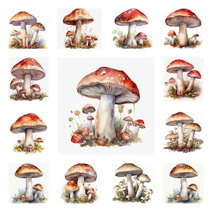 20 cliparts PNG champignon, art mural aquarelle champignon rouge, illustration de forêt champignon vénéneux | Graphique Woodland Nature pour POD | Téléchargement numérique