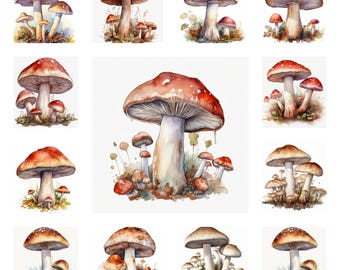 20 imágenes prediseñadas de hongos, arte mural de hongos rojos en acuarela, ilustración de bosque de hongos venenosos / gráfico de naturaleza arbórea para descarga digital
