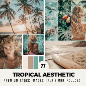 TROPICAL AESTHETIC | 77 Stock Images | plr and mrr AI Stock Photos for Social Media, Digital Products, and Website Branding