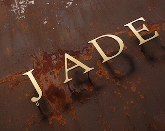 Custom Floating Metal Sign, Flat Cut Signs, Business Signs, Laser Cut Sign, Raised Metal Letters, 2D Laser Cut Sign, Custom Logo Sign