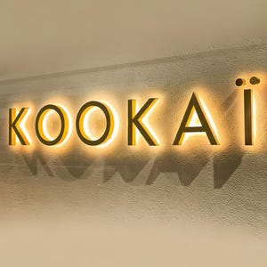 Enseigne rétro-éclairée en métal personnalisée, Lettres profilées illuminées, Enseigne lumineuse 3D, Enseignes commerciales rétro-éclairées, Enseigne extérieure avec logo, Enseigne 3D en métal