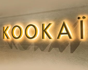 Custom Metal Backlit Sign, Illuminated Channel Letters, 3D Light Up Sign, Backlit Business Signs, Outdoor Logo Signs, 3D Metal Sign