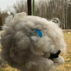 May include: A fluffy, round, white object with a black star-shaped detail and a small blue accent. The object is suspended by a green string, suggesting a decorative or craft item. The background features a blurred outdoor scene.