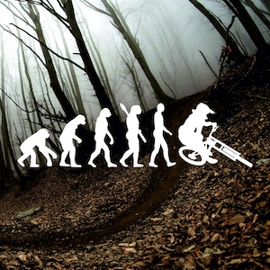 May include: White silhouette graphic depicting the evolution of man, culminating in a mountain biker on a trail. The background shows a foggy forest with bare trees and a dirt path, suggesting an outdoor adventure theme.