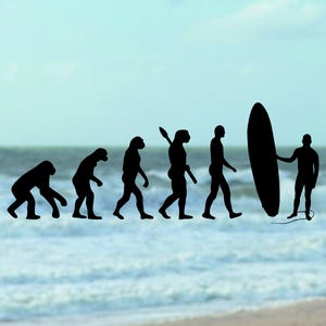 May include: Silhouette graphic depicting the evolution of man, culminating in a surfer holding a surfboard. The image is set against a backdrop of a beach and ocean, with a light blue sky.