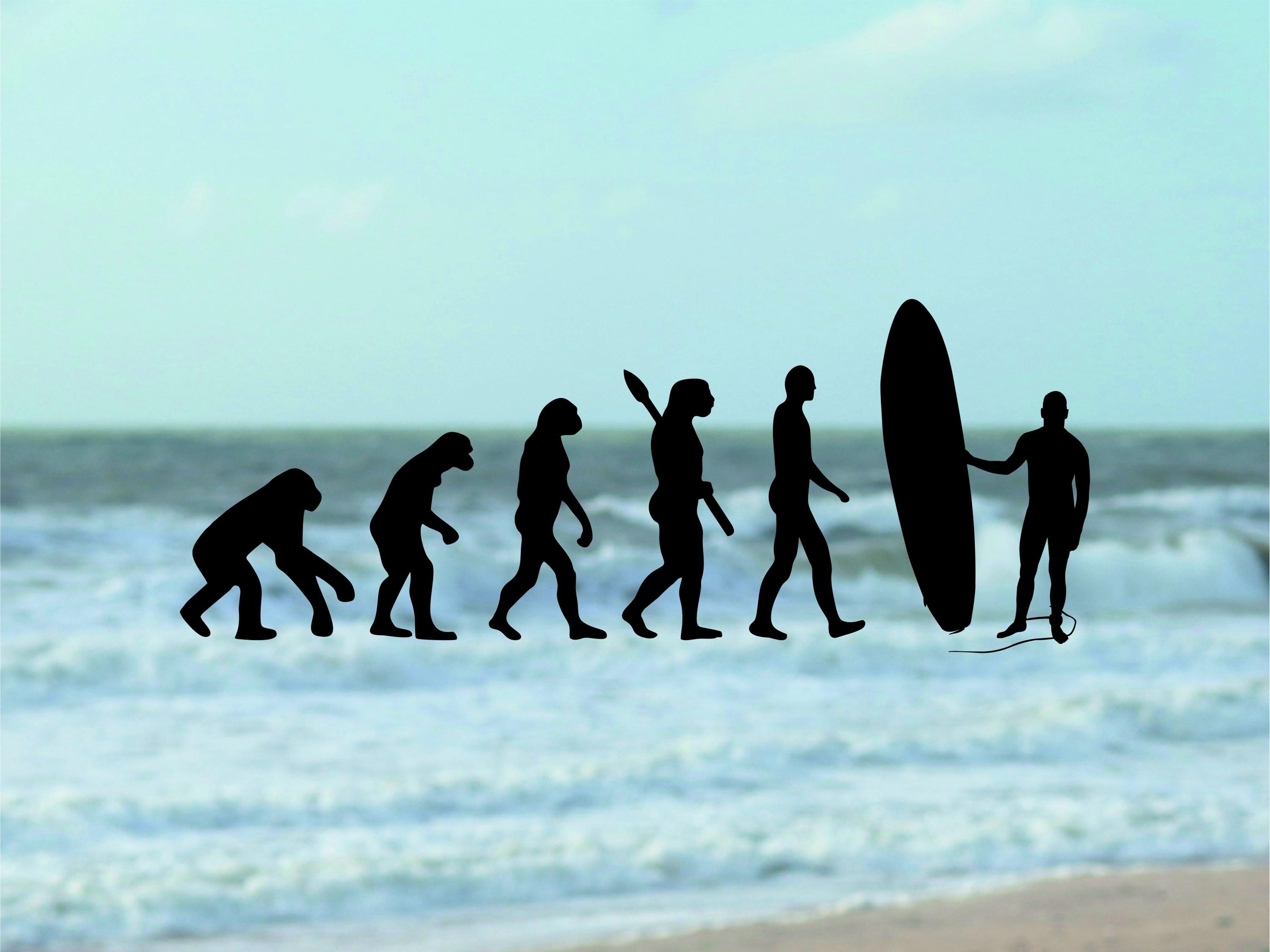 Live to Surfサーフィンファンのホワイトデカールビニールステッカーウィンドウステッカー グリーン livetosurflg 進化ステッカー I サルからサーファーへ I 面白いサーフステッカー I サーファーデコレーション I サーフラップトップステッカー I  車デコレーション I サーフィンギフト - Etsy 日本