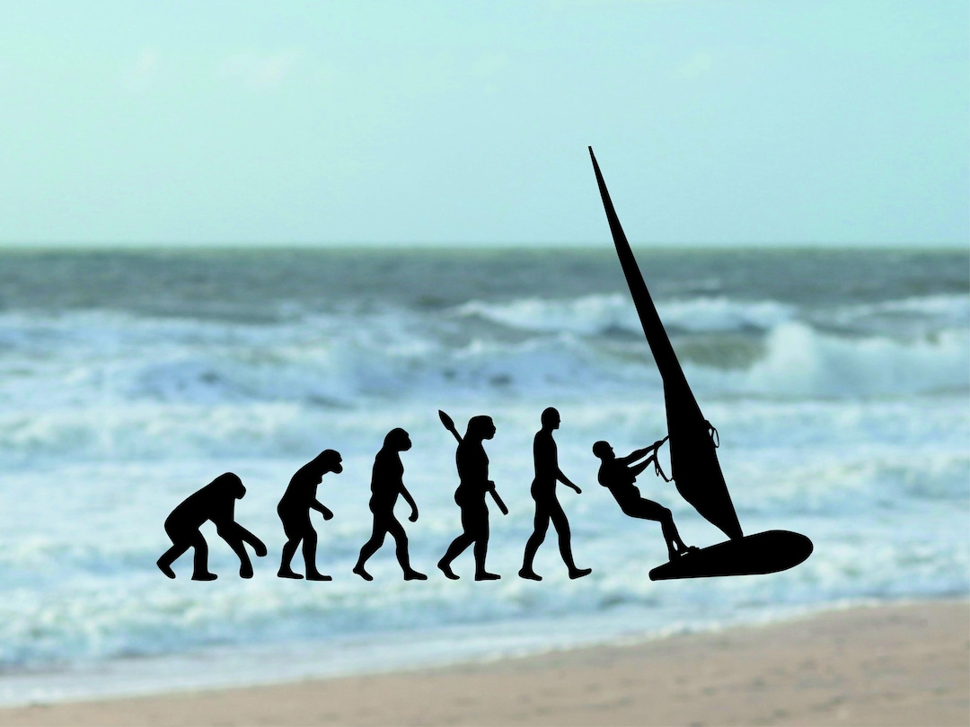 Evolution Sticker | From Monkey to Windsurfer | Funny Windsurfer ...