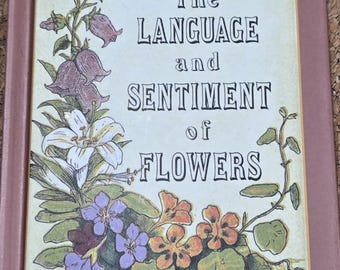 The Language and Sentiment of Flowers by James McCabe
