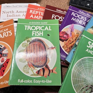 Golden Guide Nature field guides. Trees Fossils Rocks and Minerals Birds Spiders