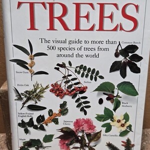 Eyewitness Handbook: Trees by Allen Coombes