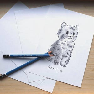 Custom Cartoon Cat Drawing | Hand-Drawn Pet Portrait | Personalized Cat Gift for Cat Lovers & Pet Owners  | Unique Cat Gift