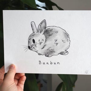 Custom Cartoon Pet Drawing | Hand-Drawn Pet Portrait | Unique Dog, Cat, Pet Gift | Personalized Pet Art | Cute Customized Pet Gift