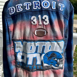 Detroit Lions 313