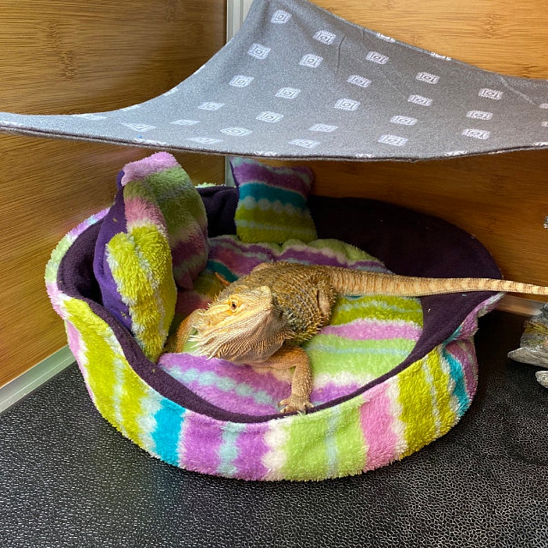 Lizard pet bed pet blanket turtle pet bed beardie bed Etsy