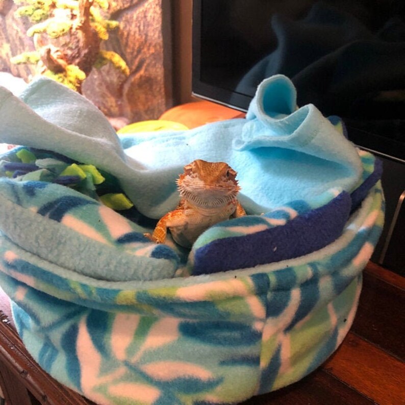 Lizard pet bed pet blanket turtle pet bed beardie bed Etsy