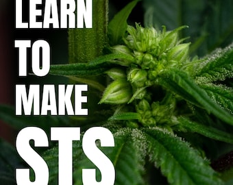 DIY Silver Thiosulfate Solution (STS) Guide: Feminized Seeds (PDF Download)