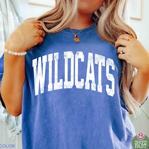 Camiseta de los Wildcats con colores cómodos, camiseta vintage de la mascota de los Wildcats, día del partido de los Wildcats, camiseta de la mascota de la escuela de fútbol, camiseta con el espíritu de los Wildcats para maestros