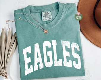 Vintage Eagles Comfort Colors Shirt, Eagle Game Day T-shirt, School Spirit Tee, Tailgate Crewneck, School Mascot Shirt, Football Mom Gift