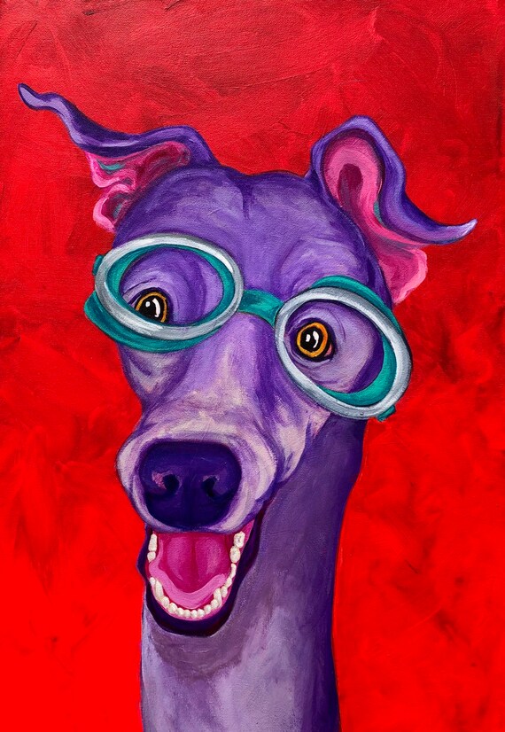 greyhound goggles