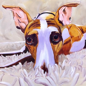 Whippet, Whippet art, Italian greyhound, greyhound, pet portrait, greyhound art, CourtsArt