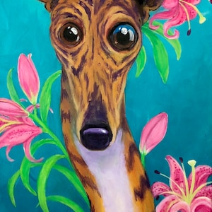 Arte galgo italiano, arte galgo, arte whippet, tribunal