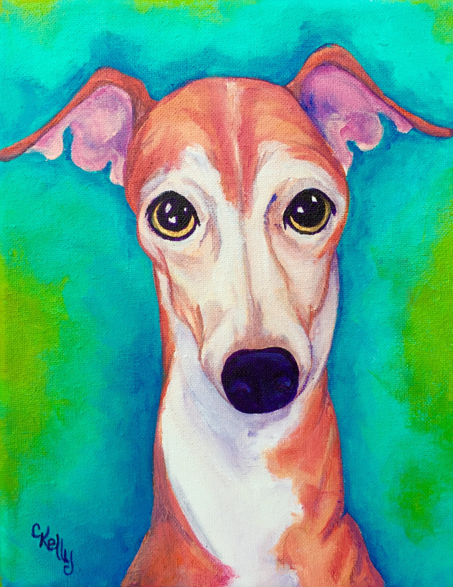 Italian Greyhound Fitness: Top Tiktok Trends - a2gnr7d