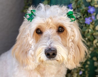dog bows for ears