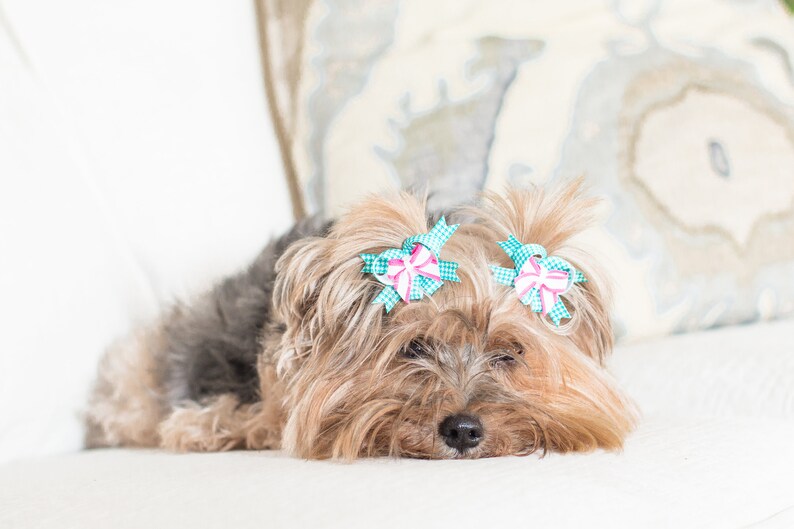 Dog Bow Pairs Easy To Use Pet Bows Drop Anchor Snap-In Dogs\u00ae Bow PAIR Small Dog Hair Bows Hair Friendly Pet Bows Dog Ear Bows