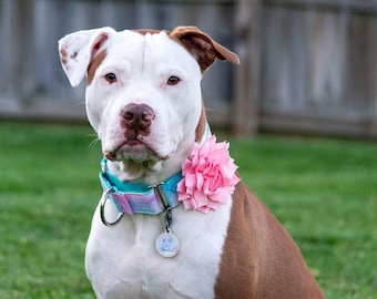From The Garden Snap-In Dog Bows® Flower - EXTRA LARGE - Dog Collar Flowers, Dog Harness Flowers, Therapy Dog Flowers