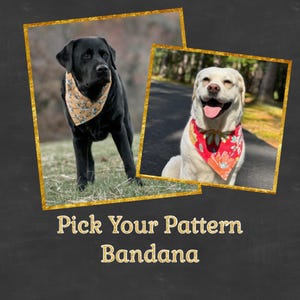 Välj ditt mönster Snap-In Dog Bows®-bandana - Snap Dog-bandana, Hundbandana, Kattbandana, Husdjursbandana, Terapihundbandana