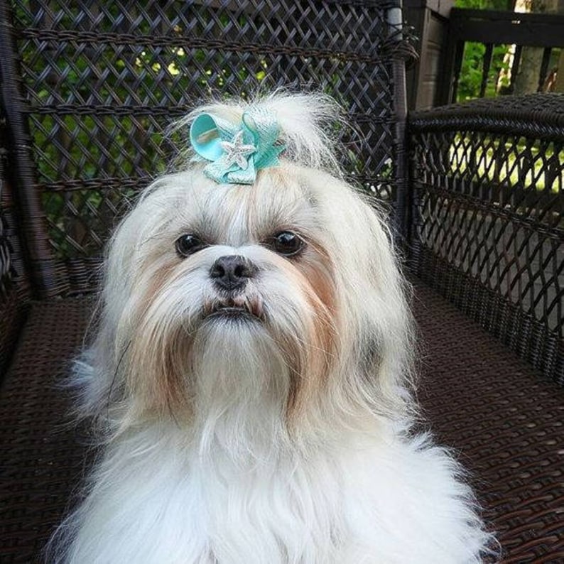 Dog Collar Bow Top Knot Dog Bow Easy To Use Pet Bow Ready For School Snap-In Dog Bows\u00ae Bow Top Knot Bow Cat Collar Bow Pet Harness Bow