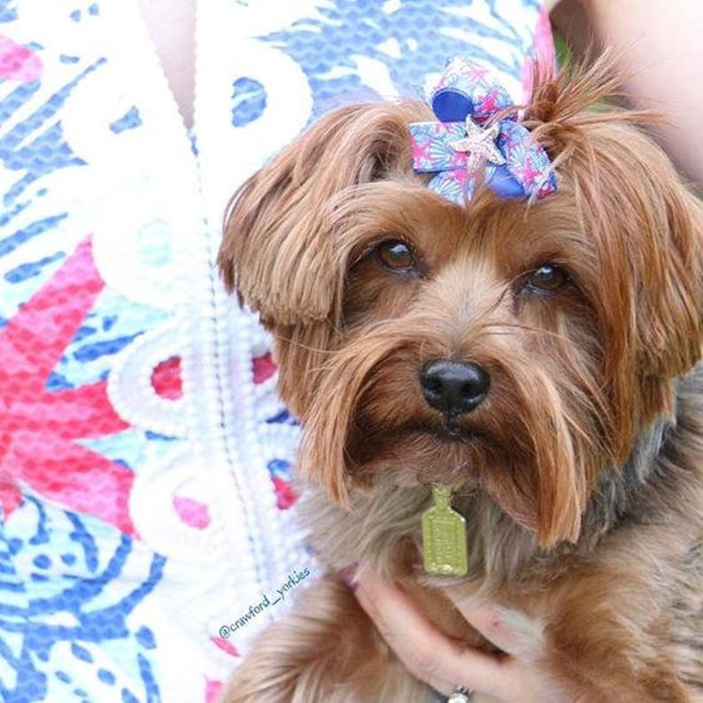 Dog Collar Bow Top Knot Dog Bow Easy To Use Pet Bow Ready For School Snap-In Dog Bows\u00ae Bow Top Knot Bow Cat Collar Bow Pet Harness Bow