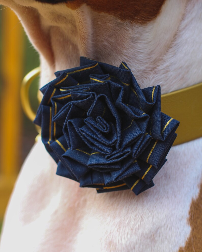 In the Mood Snapin Dog Bows® Bow Tie for Dogs and Cats Etsy