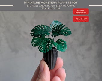 May include: A miniature Monstera plant in a black ribbed pot. The text reads: MINIATURE MONSTERA PLANT IN POT, STL FILES AND STEP BY STEP TUTORIAL, SCALE 1/12, 1/6, DIGITAL DOWNLOAD, FDM ONLY. The plant has dark green, split-leaf foliage.