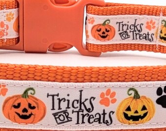 Tricks for Treats Dog Collar / Halloween Trick or Treat