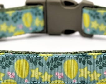 Star Fruit Dog Collar / Starfruit Carambola Tropical Fruit Food