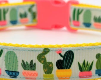 Cacti and Succulents Dog Collar / Cactus Snake Plant Houseplants