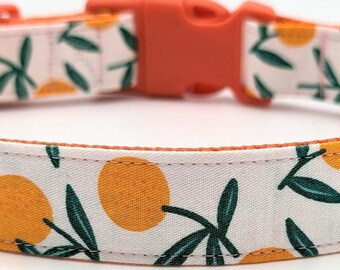 Clementine Orange Dog Collar / Citrus Fruit Tangerine Tree Floral