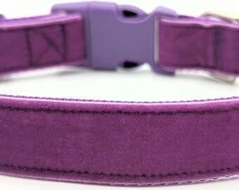 Purple Velvet Dog Collar / Violet Plum Amethyst Grape Eggplant