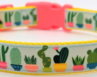 Cacti and Succulents Dog Collar / Cactus Snake Plant Houseplants
