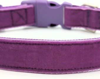 Purple Velvet Dog Collar / Violet Plum Amethyst Grape Eggplant